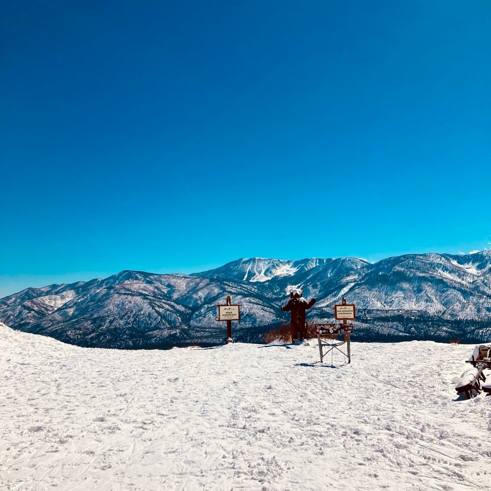 Meet your Posher, Surfer